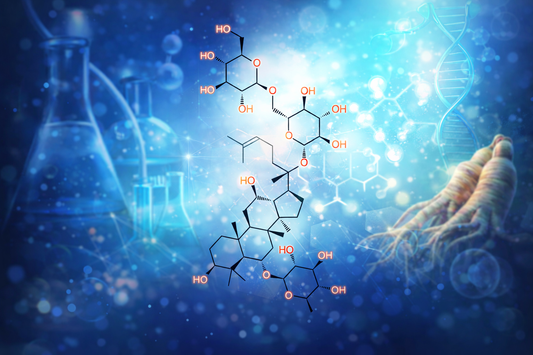Notoginsenoside R3 Compound Overview – Structure, Molecular Data, and Analytical Research Uses