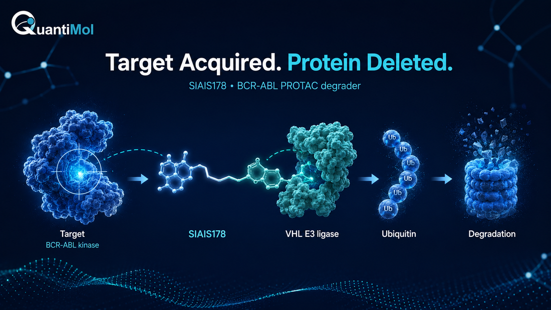 Target Acquired. Protein Deleted: SIAIS178 and the Future of PROTAC-Based Cancer Research