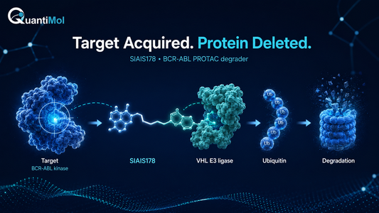 Target Acquired. Protein Deleted: SIAIS178 and the Future of PROTAC-Based Cancer Research