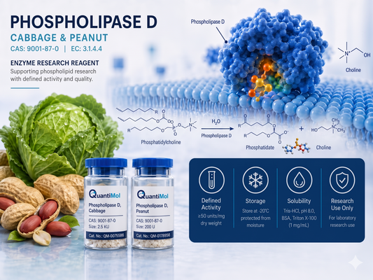 Phospholipase D from Cabbage and Peanut: Plant-Derived Enzyme Reagents for Phospholipid Research