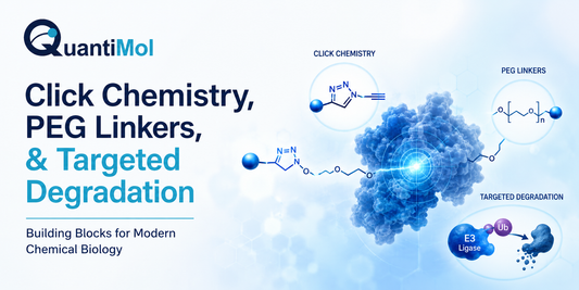 Click Chemistry, PEG Linkers & Targeted Degradation: Building Blocks for Modern Chemical Biology